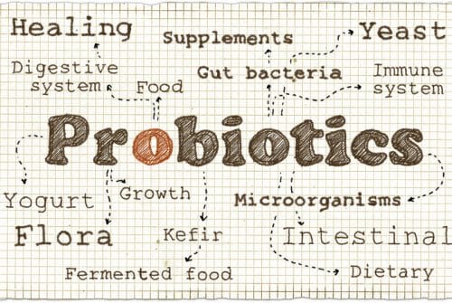 Quels sont les principaux bienfaits des probiotiques sur la peau ?