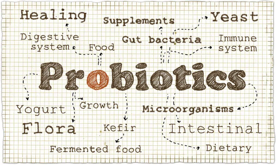 Quels sont les principaux bienfaits des probiotiques sur la peau ?