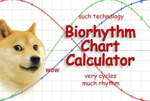 Biorythme : comment calculer une date d’échéance ?