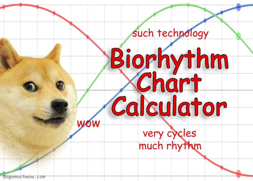Biorythme : comment calculer une date d’échéance ?