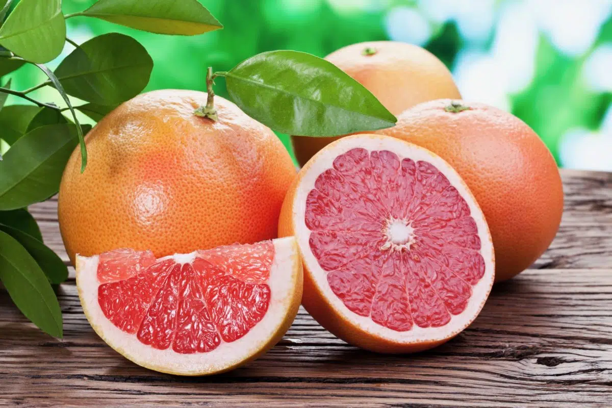 Où pousse le pamplemousse ?