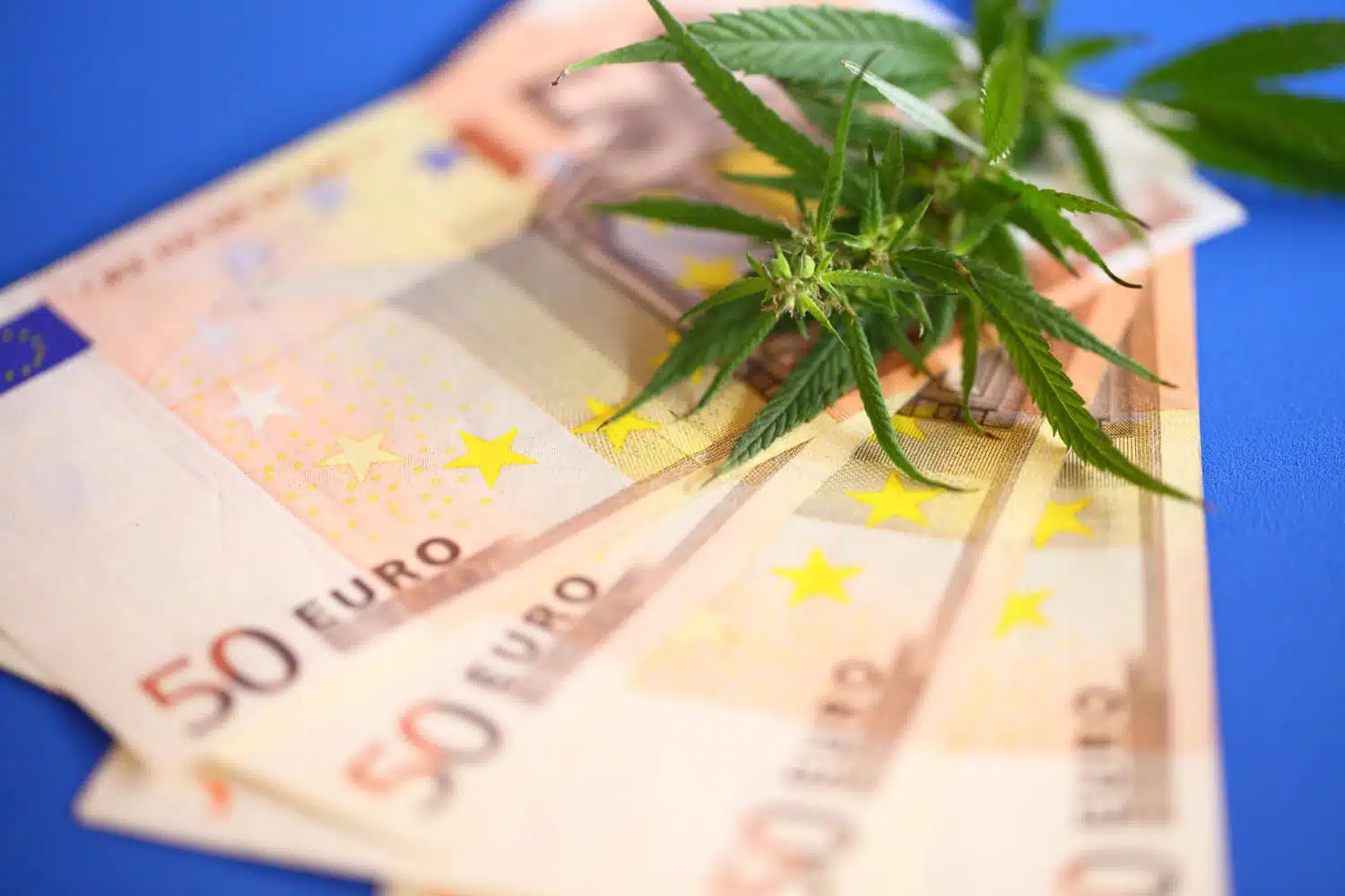 Quel statut pour vendre du CBD ?